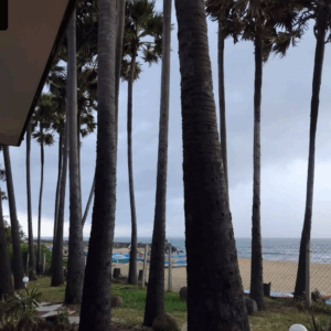 Screenshot 2025-10-04 at 12.27.46