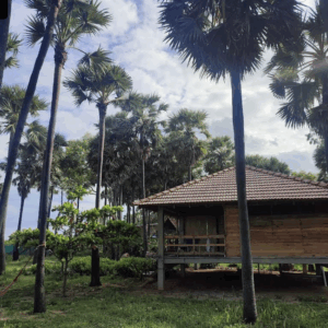 Screenshot 2025-10-04 at 12.28.29