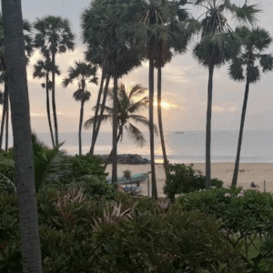 Screenshot 2025-10-04 at 12.30.11